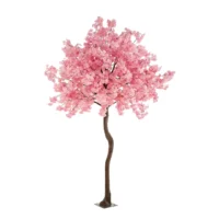 blossom